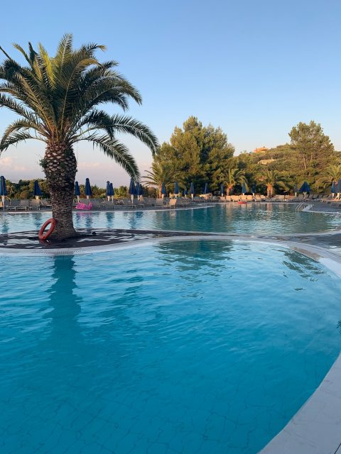 A swimming pool fringed with palm tree.