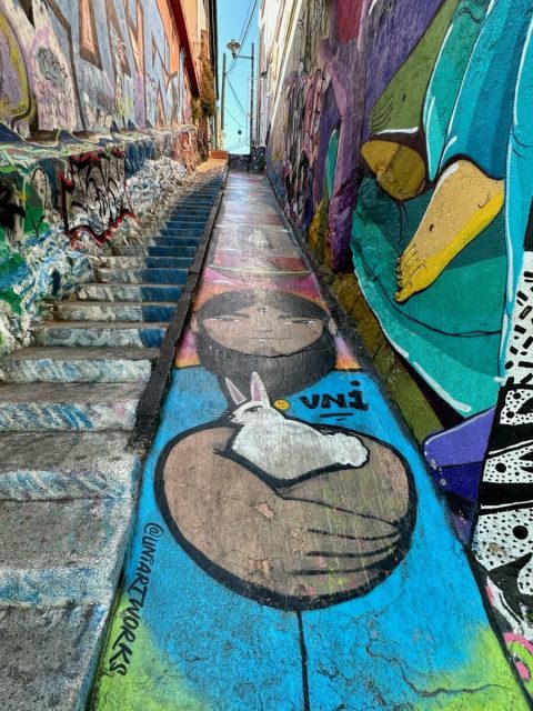 Valpariso Steps decorated by graffiti images of life in the city.