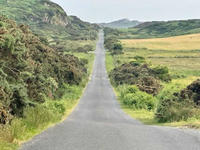 Small single track paved road on Colonsay Scotland with wild hedges at both sides.