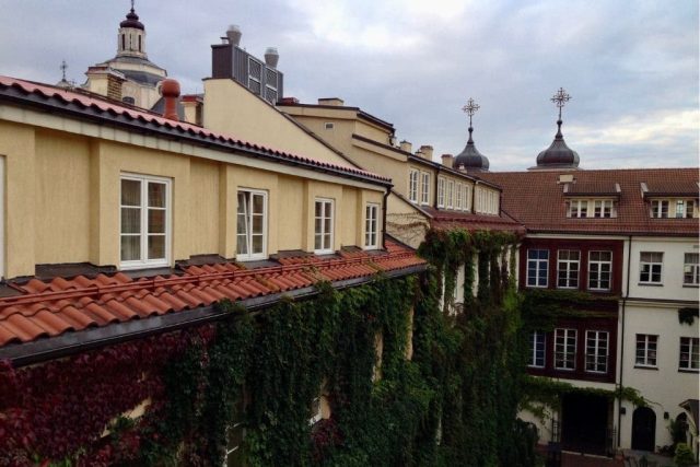 A ivy clad set of walls of a courtyard in a hotel in Riga, Latvia. Red tiles roofs and church spires visible behind the hotel building.